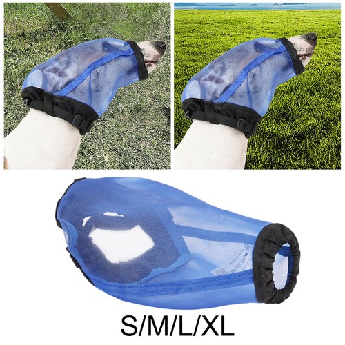 Maschera per coda volpe - per, di
