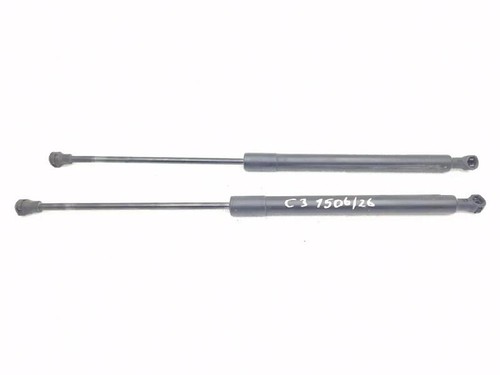 8731t9 pistoncini portellone - 8731t9,