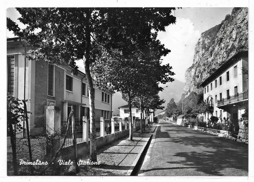 Vicenza primolano - -,