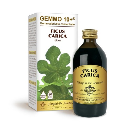 Fico g10 ficus - fico,