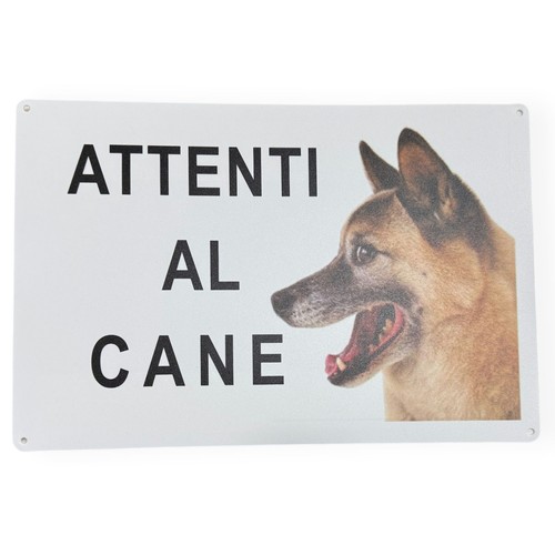 Cartello attenti cane 30x20 - cartello,