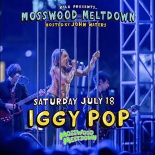 Iggy pop muschio - /,