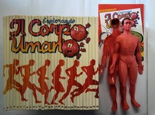 Esplorando il Corpo Umano Prima serie 30 volumi De Agostini 1989 + Modellino
