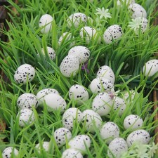  30pcs Simulazione Uova
