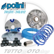 KIT VARIATORE MOLLA BLU POLINI