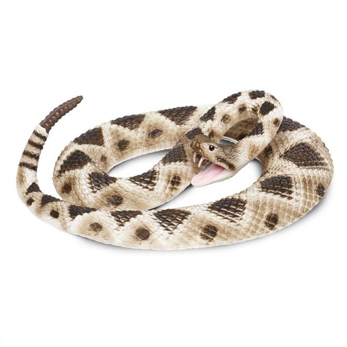 Eastern diamondback - eastern,