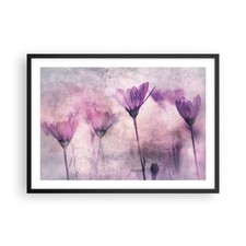 Poster 70x50cm Fiori rosa