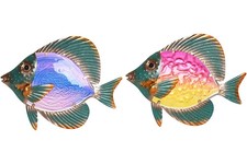 DECORAZIONE PARETE QUADRO