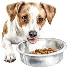 2 adesivi Jack Russell Terrier