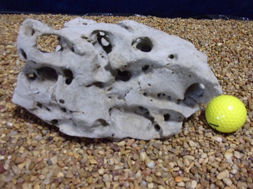 Texas holey rock - 08#,