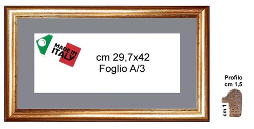 Cornice oro classica - in, da