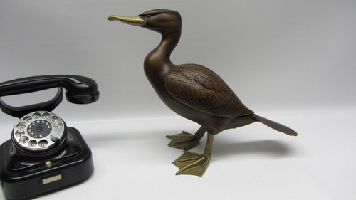 Designer cormorano elli - designer,