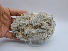 Minerali◇Calcite Provenienza