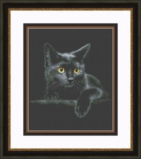 Kit punto ago fai da te gatto