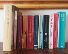 Lotto 11 libri Rosamunde Pilcher Erica Jong L5