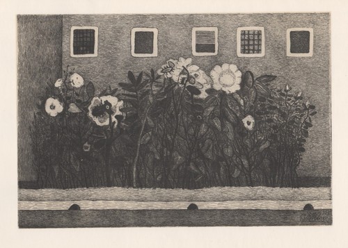 Giuseppe viviani fiori della - giuseppe,