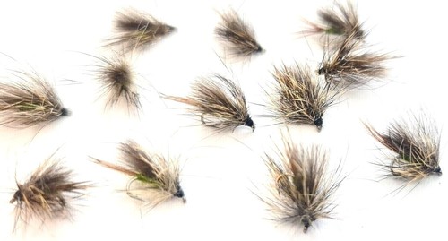 Cdc cul canard scruffy - cdc,