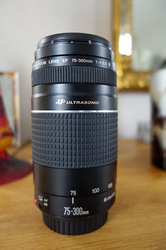 Objectif zoom canon 300 - canon, 75-300