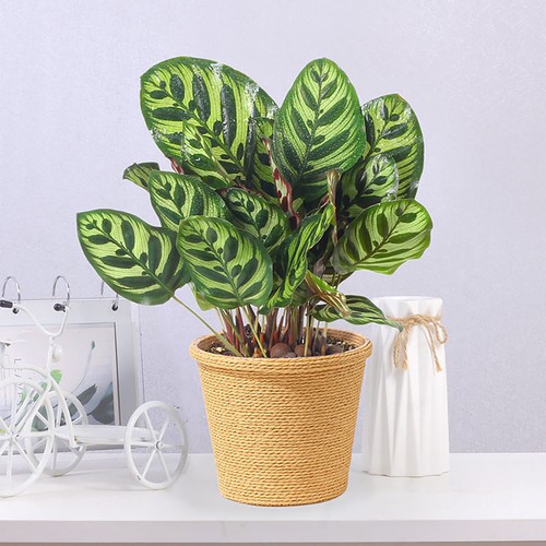 Fioriera decorativa - , da