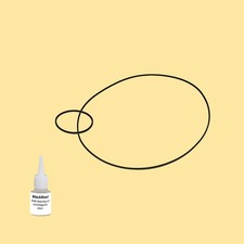 Cinghia olio = kit 5 per