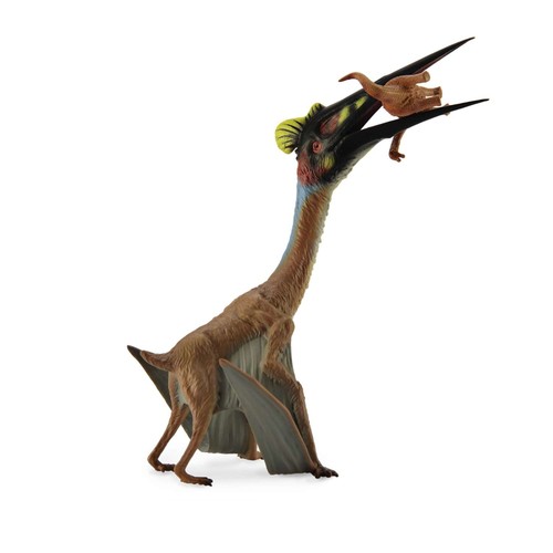 Collecta quetzalcoatlus con - collecta,