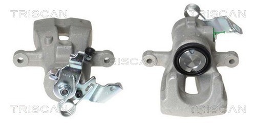 Pinza freno triscan 8170 - triscan,