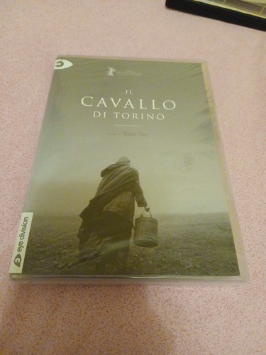 Cavallo torino bela - il,