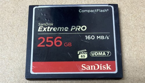 Scheda memoria compactflash - scheda,