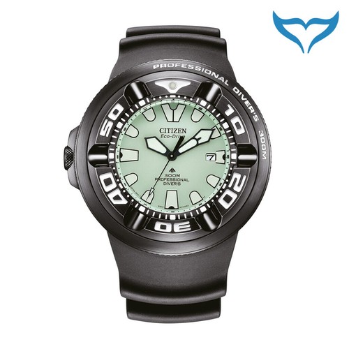 Orologio subacqueo citizen - orologio,