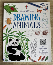 Usborne Art Ideas Drawing