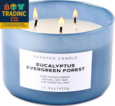Candela di soia Eucalipto