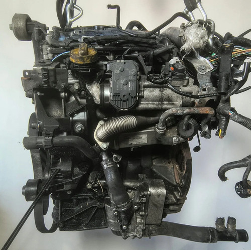 Motore nissan renault trail - motore, x-trail