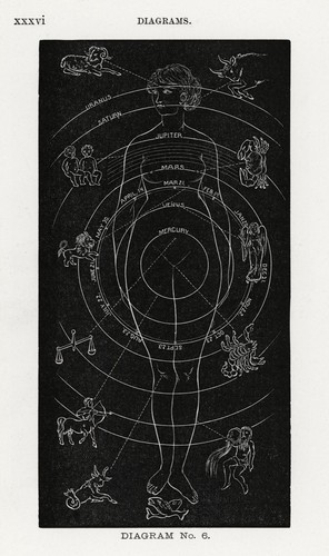 12733 poster decorazione - 12733.poster,