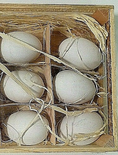Uova bianche di coccio - ,