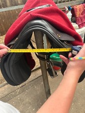 Papavero di campagna nero 16