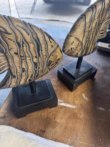 Coppia pesci angelo legno - pesci, in