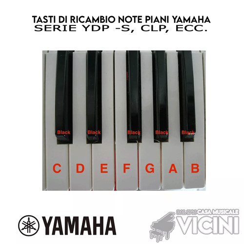 Tasti ricambio note piani - tasti,