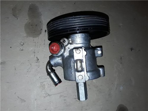 9638308580 pompa servosterzo - ,