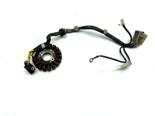 Statore alternatore magnete - statore,