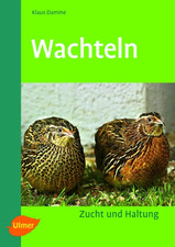 Quaglie - Allevamento e