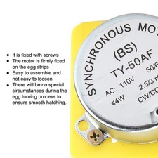 Incubatore Di Uova Del Vassoio