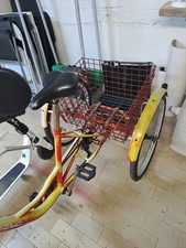 Bicicletta Triciclo Adulto