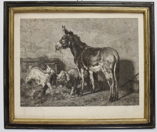 Graveur etching old printinge - old,
