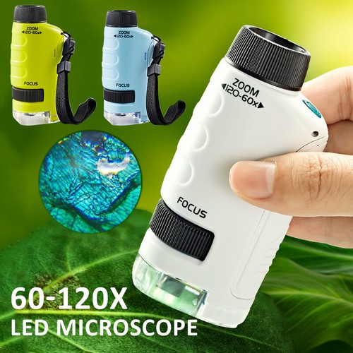 120x microscopio tascabile - 60~120x,