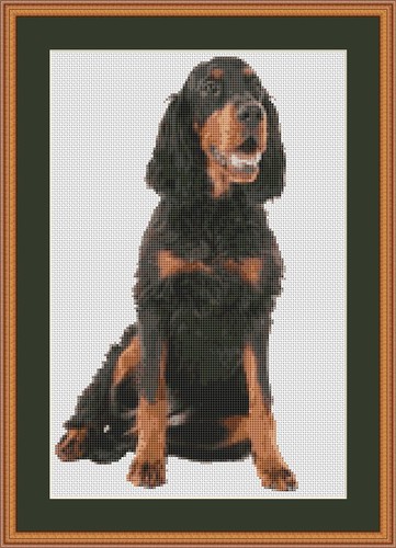 Kit punto croce cane gordon - croce,