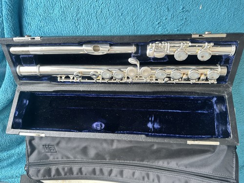 Flauto trevor james tj10xii - flauto,