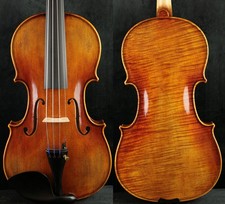 Favoloso maestro violino