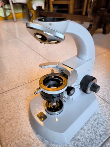 Zeiss microscopio stativo