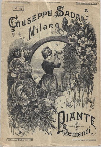 Catalogo giuseppe sada piante - giuseppe,