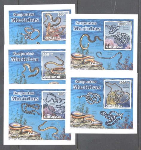 Sealife serpente - (865062), sealife,